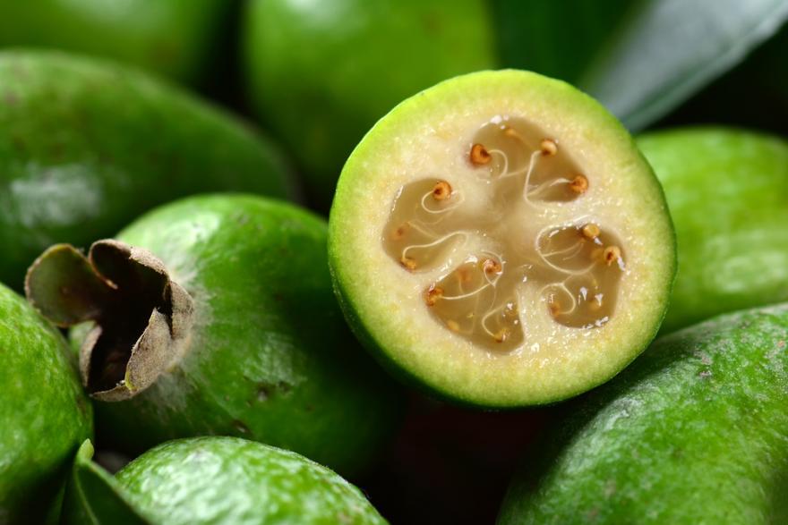 Feijoa, Goyave de Montevideo