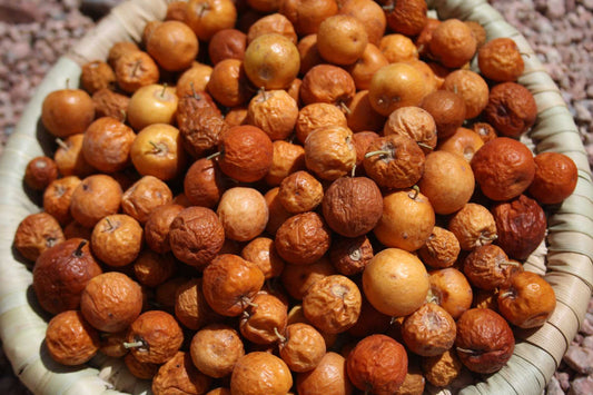 Jujubier greffé géant de Albatera